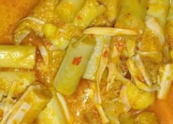 Resep Gulai Umbut Rotan, Menu Andalan Masyarakat Bengkulu