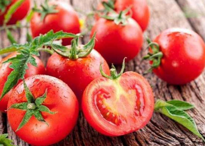 Gak Nyangka Ternyata Ini Segudang Manfaat Buah Tomat untuk Kesehatan