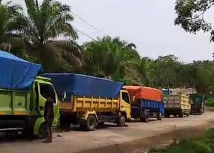 Selain Diminta Duit, Sopir Juga Dikejar-kejar, Pengiriman BBM Macet, Steven: Aparat dan Pemerintah Harus Tegas