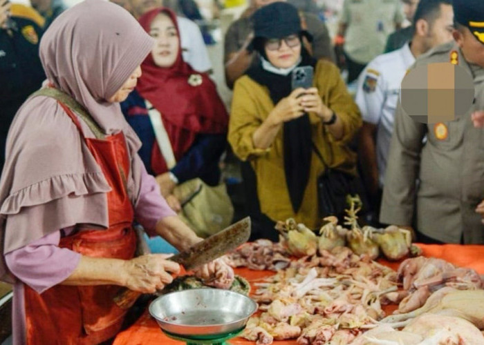 Harga Daging Ayam Bikin Ibu Rumah Tangga Resah, Diduga Ini Penyebabnya