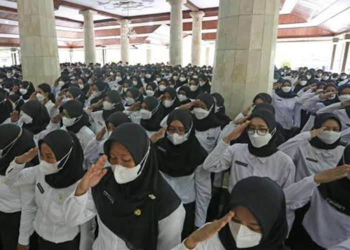 Pemkab Bengkulu Utara Rekrut 2.306 PPPK Paruh Waktu, 663 Honorer Tak Terdata di BKN