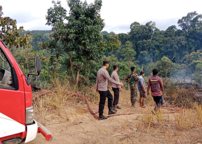 Karhutla di Desa Rena Jaya Berhasil Dipadamkan, Diduga Putung Rokok Sebabkan Kebakaran