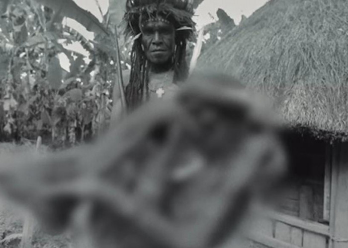 Suku Korowai Papua, Hindari Binatang Buas dengan Tinggal Diatas Pohon Setinggi 50 Meter