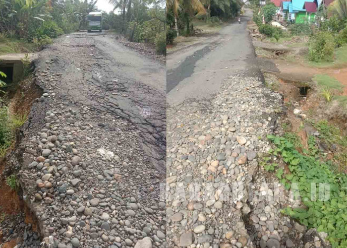 Kades Air Tenang Desak Dinas PU Tangani Kerusakan Jalan Kabupaten