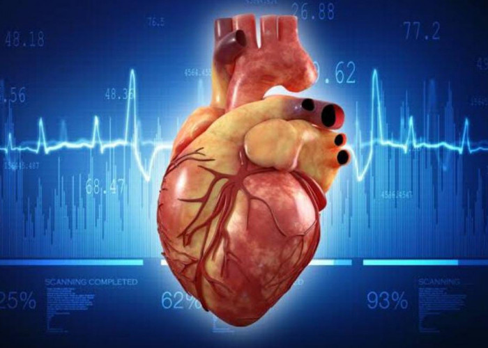 Waspada Aritmia, Suatu Gangguan Irama Jantung yang Bisa menyebabkan Kematian Mendadak, Ini Ciri-Cirinya