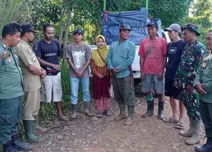 Penangkapan Harimau di Napal Putih Belum Usai, Petugas Incar Individu Harimau Jantan yang Masih Berkeliaran