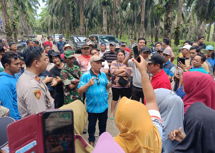 Masa Tetap Bertahan Tutup Akses Jalan PT Agricinal Sampai Dua Tuntutan Ini Dipenuhi