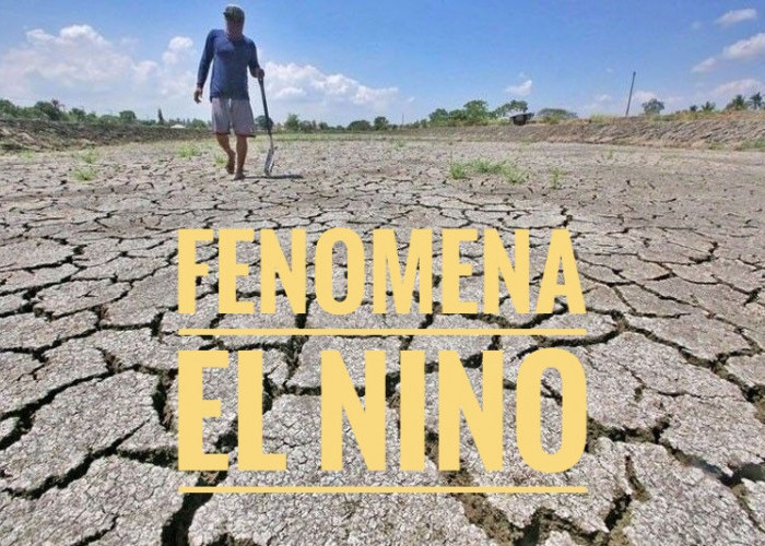 Waspada Puncak El Nino, 32 Provinsi Bakal Alami Kemarau Panjang, Hanya Dua Daerah Ini yang Aman