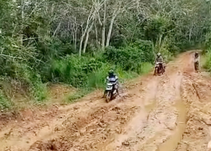 Menanti Anggaran DBH 2026, Desak Pembangunan Jalan Trans Lapindo-Kinal Jaya Dipercepat