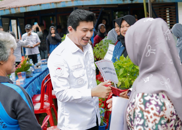 30 Ribu Bibit Gratis Tahap Dua Siap Didistribusikan