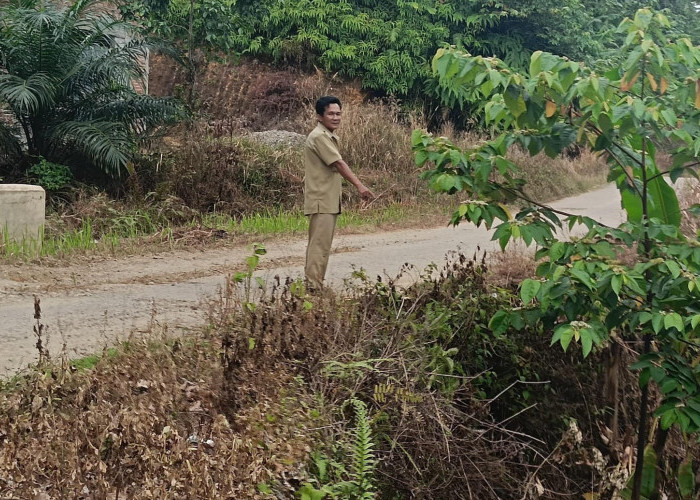 Jalan Poros Penghubung SP7-SP6 Terancam Putus, Kades: Pernah Dibangun Disnakertrans, tapi 1 Tahun Sudah Jebol