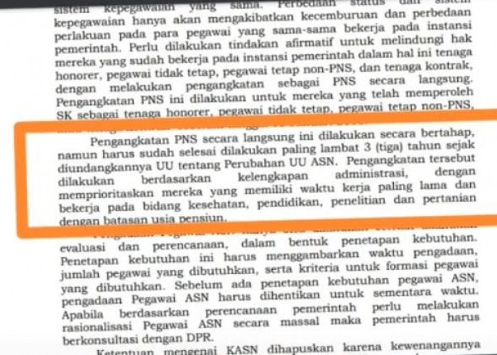 Pengangkatan Honorer menjadi PNS Dilakukan Paling Lambat 3 Tahun Setelah RUU-ASN Disahkan, Ini Prioritasnya