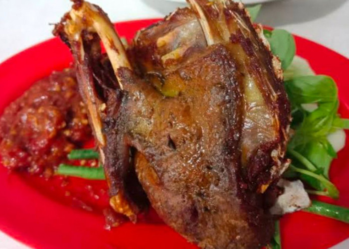 Tips Memasak Daging Bebek Agar Cepat Empuk dan Tidak Amis