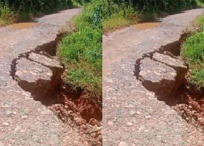 Belum Ada Aksi Nyata, Longsor Jalan Tanjung Alai-Jabi Makin Mengkhawatirkan
