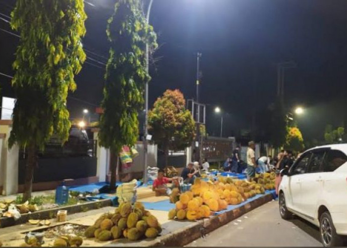 Sawah Lebar, Masih Menjadi Tempat Andalan Berburu Durian Lokal yang Lezat di Bengkulu