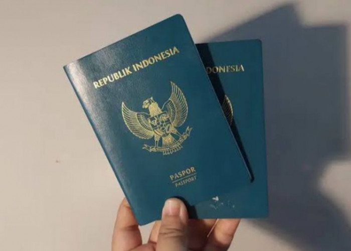 Bukan Hijau Lagi, Paspor Indonesia Akan Ganti Warna di Tahun Ini
