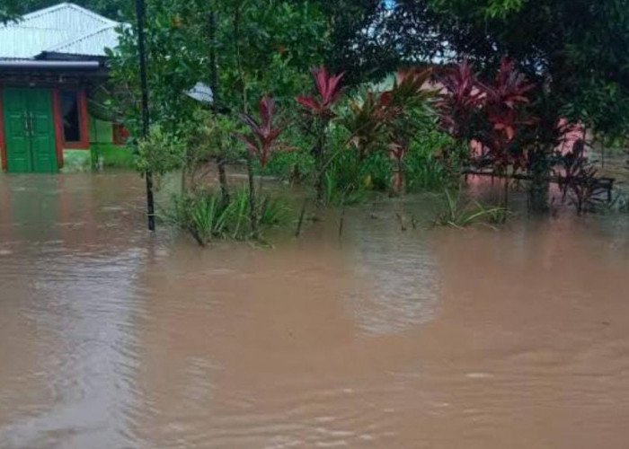 Warga Diminta Waspadai Bencana Banjir dan Longsor Akibat Dampak La Nina