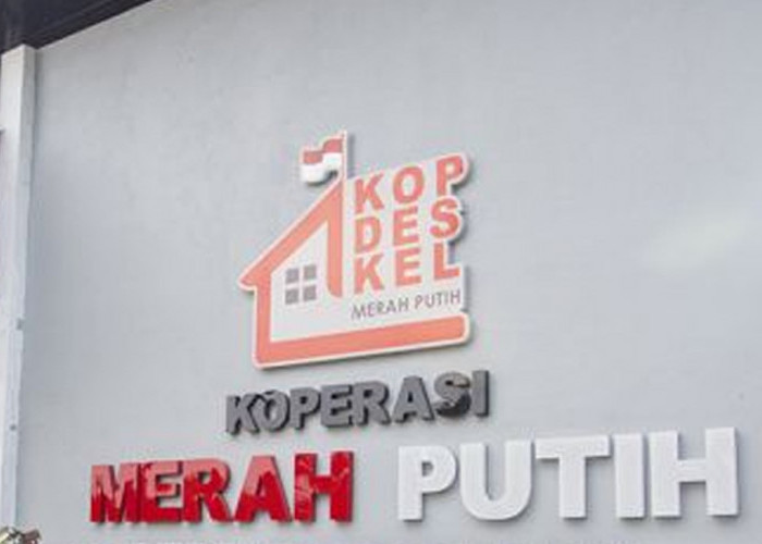 Dorong Sinergi Manager dan Pengurus Agar Kopdes Tak Jadi Pesaing Usaha Warga