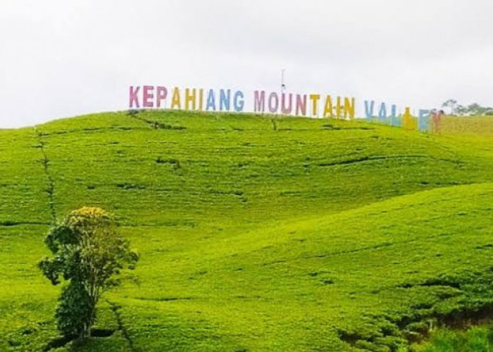 Dibalik Keindahannya, Ternyata Kebun Teh Kabawetan Merupakan Peninggalan dari Belanda