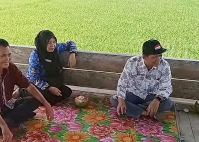 Stok Obat Hama Padi Dipastikan Aman, Petani Diminta Tenang