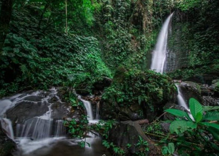 Air Terjun Pungguk Meranti, Wisata Tersembunyi yang Masih Asri di Kepahiang