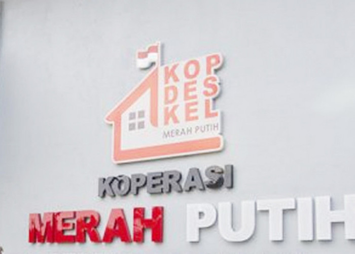 Kopdes Merah Putih Tak Langsung Dilepas, PT Agrinas Pegang Kendali Selama 2 Tahun