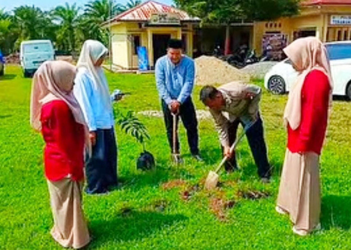 Peduli Lingkungan, Calon Pengantin Wajib Tanam Pohon