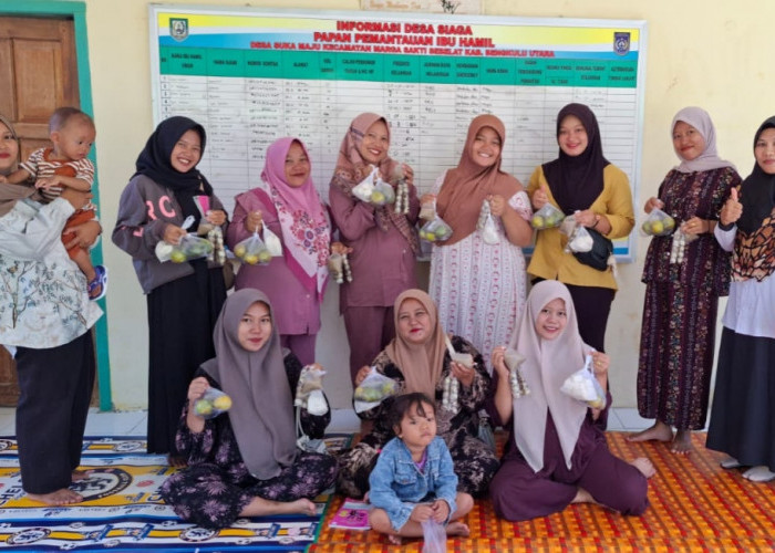 Bersama PKK Desa, Kucurkan Bantuan Suplemen Makanan Tambahan Bumil