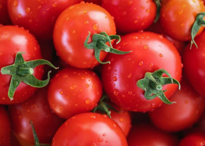 Selain Semangka, Ini Buah yang Mengandung Banyak Air