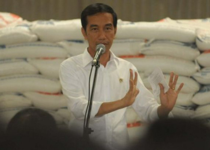 Presiden Jokowi Ingin Program Bansos Beras Diperpanjang
