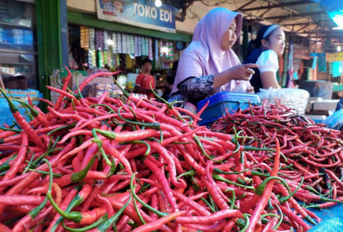 Di Bengkulu Utara Harga Cabai Kejar Daging