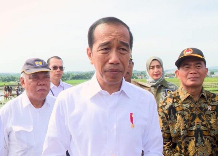Tegas Presiden Jokowi Larang Pupuk Subsidi Dijual ke Pihak yang Bukan Petani