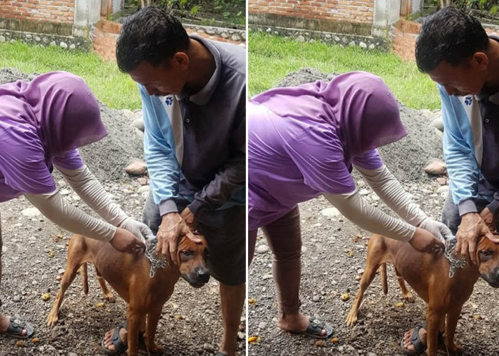 Hewan Peliharaan Jadi Perhatian, Distan Mukomuko Gencarkan Pencegahan Rabies