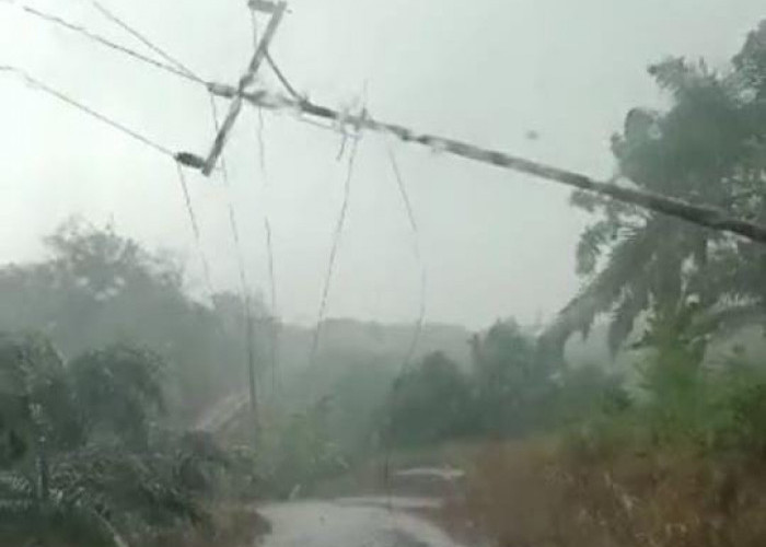 Diterjang Badai, Listrik di Kabupaten Bengkulu Utara Padam
