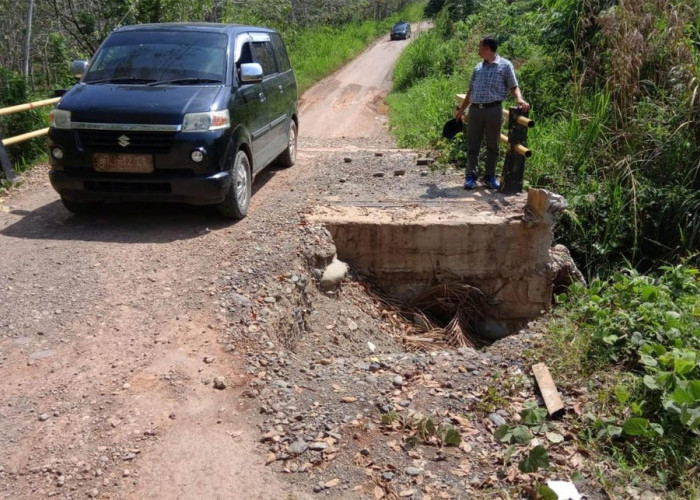Jalan Provinsi Kuala Langi–Talang Baru–Dusun Raja Memprihatinkan, Kades Desak Perbaikan 