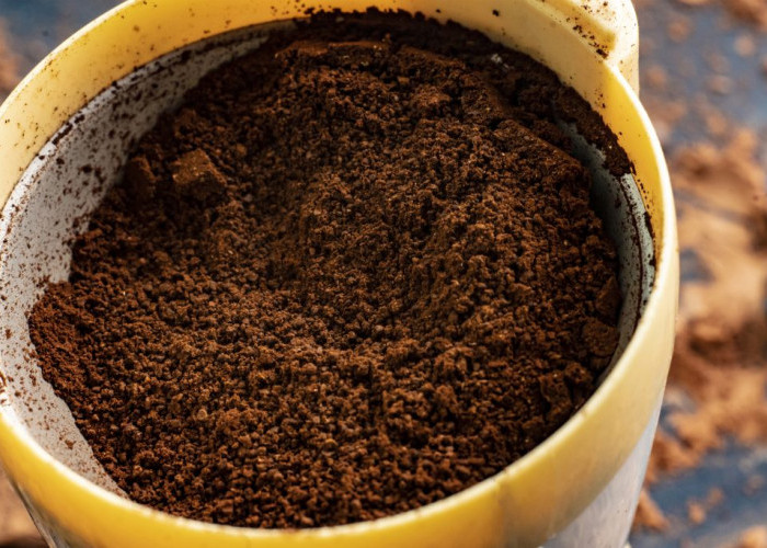 Manfaatkan Ampak Kopi Sebagai Pupuk Alami untuk Menyuburkan Tanaman Cabe 