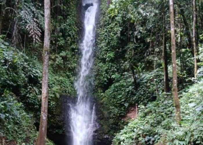 Ngaku Pecinta Alam? Ayo Kunjungi Curug Papat, Surga Tersembunyi di Rejang Lebong