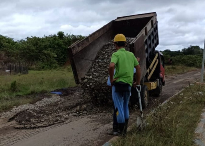 PT BAS Sebar Koral di Ruas Jalan KTM Lagita Ketahun