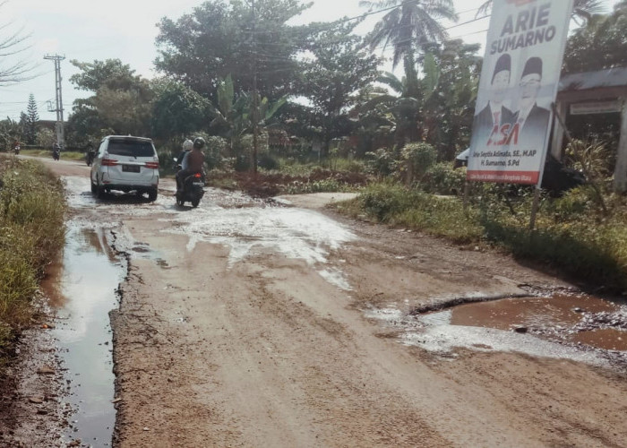 Jalan Kota Arga Makmur Memprihatinkan, Warga Minta Perbaikan Segera