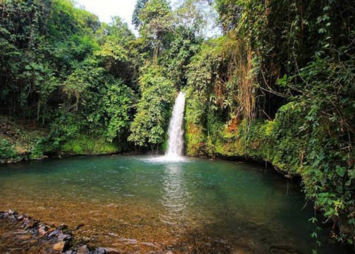 Ini 3 Alasan Kenapa Kamu Harus Berlibur ke Air Terjun Sengkuang di Kepahiang Bengkulu