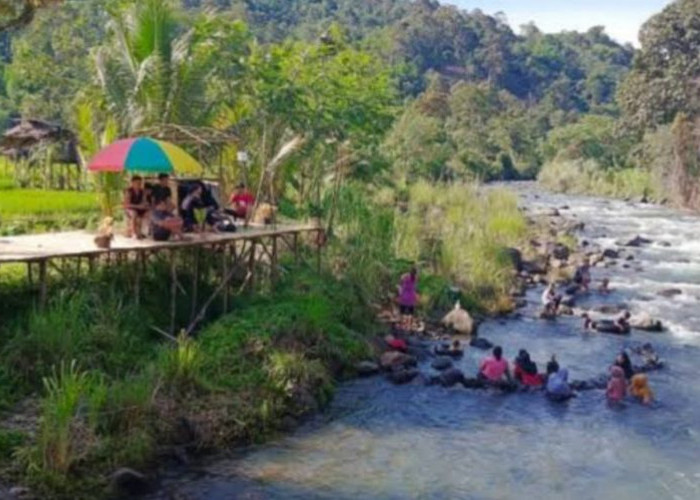 Refrerensi Wisata Baru di Seluma, Manfaatkan Sungai Kungkai Menjadi Objek Wisata