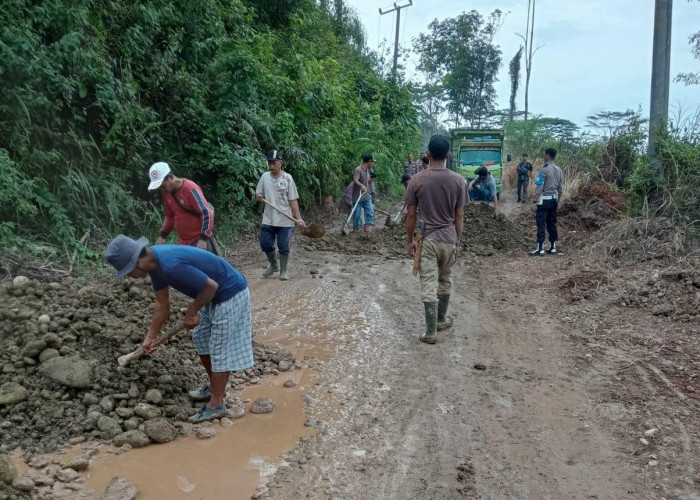 Penanganan Jalan Provinsi oleh Warga di Tanjung Alai Hanya Bersifat Darurat, Selanjutnya Ini Kata Camat