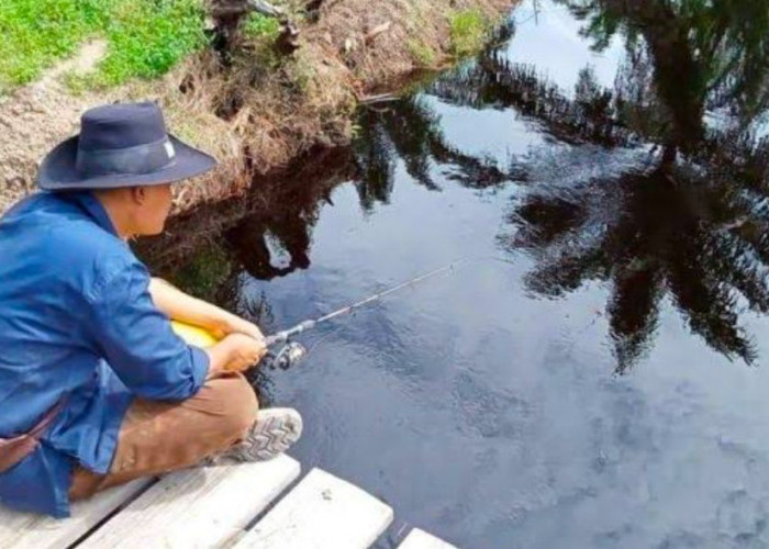 Mari Merapat, Ini Tips Memancing untuk Pemula agar Mendapat Banyak Ikan