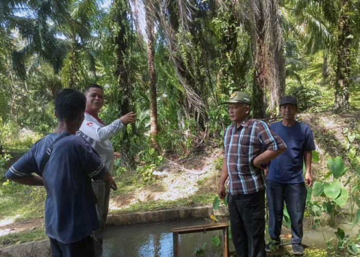 Irigasi Jebol Belum Tertangani, Petani Bertahan dengan Perbaikan Swadaya