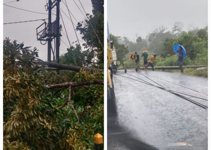 12 Tiang PLN Roboh, Listrik Bengkulu Utara Padam Total