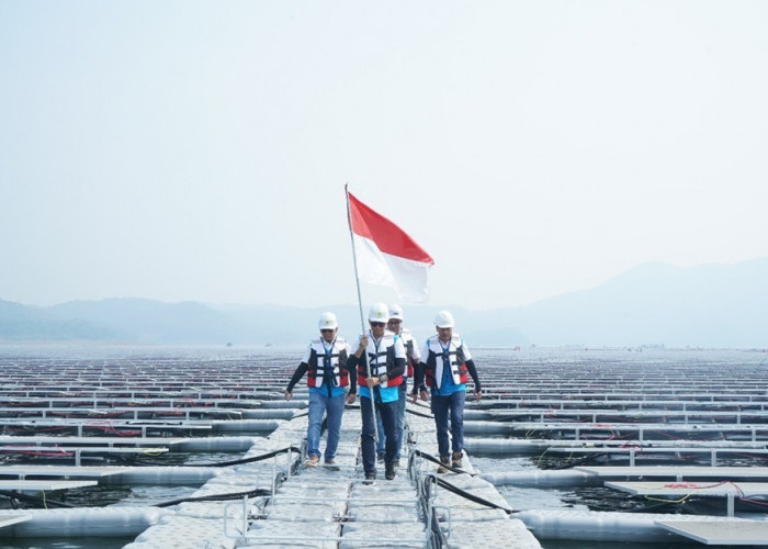 Dukung Pembangunan Berkelanjutan, Green Financing BRI Terus Tumbuh Capai Rp89,9 Triliun