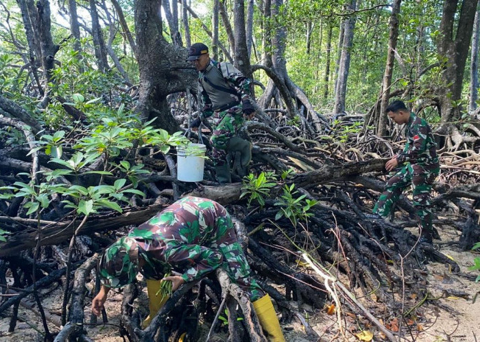 Satgas PAM Puter Enggano Laksanakan Pembibitan dan Pelestarian Pohon Mangrove