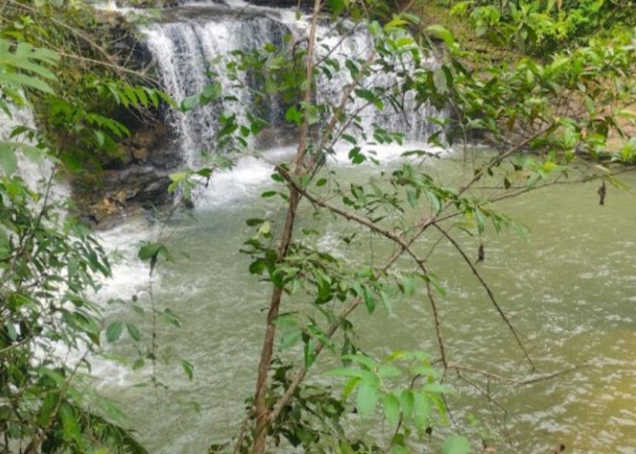 Mengintip Keindahan Air Terjun Telang Diwo di Bengkulu Utara