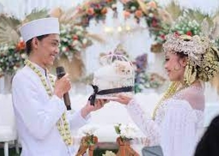 Viral! Pasangan Pengantin Ini Menikah dengan Mahar Unik yaitu Seekor Kucing