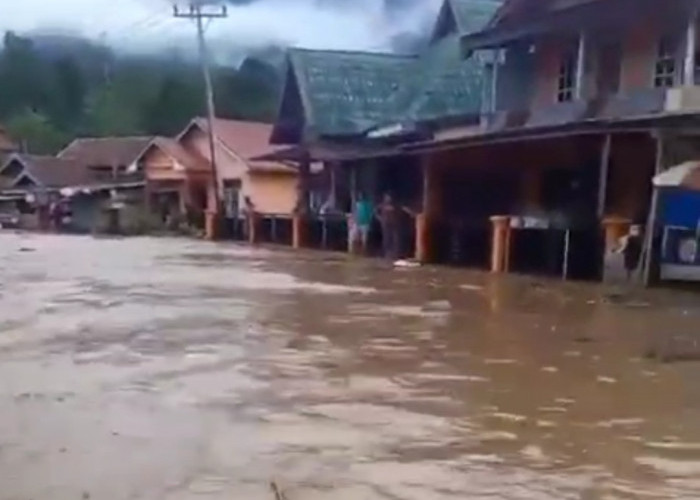 Banjir Lebong Terjang 6 Kecamatan, Ribuan Rumah Terdampak 